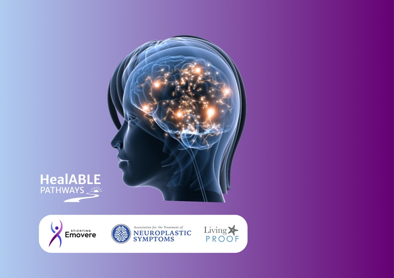 Chronic pain summit 2026